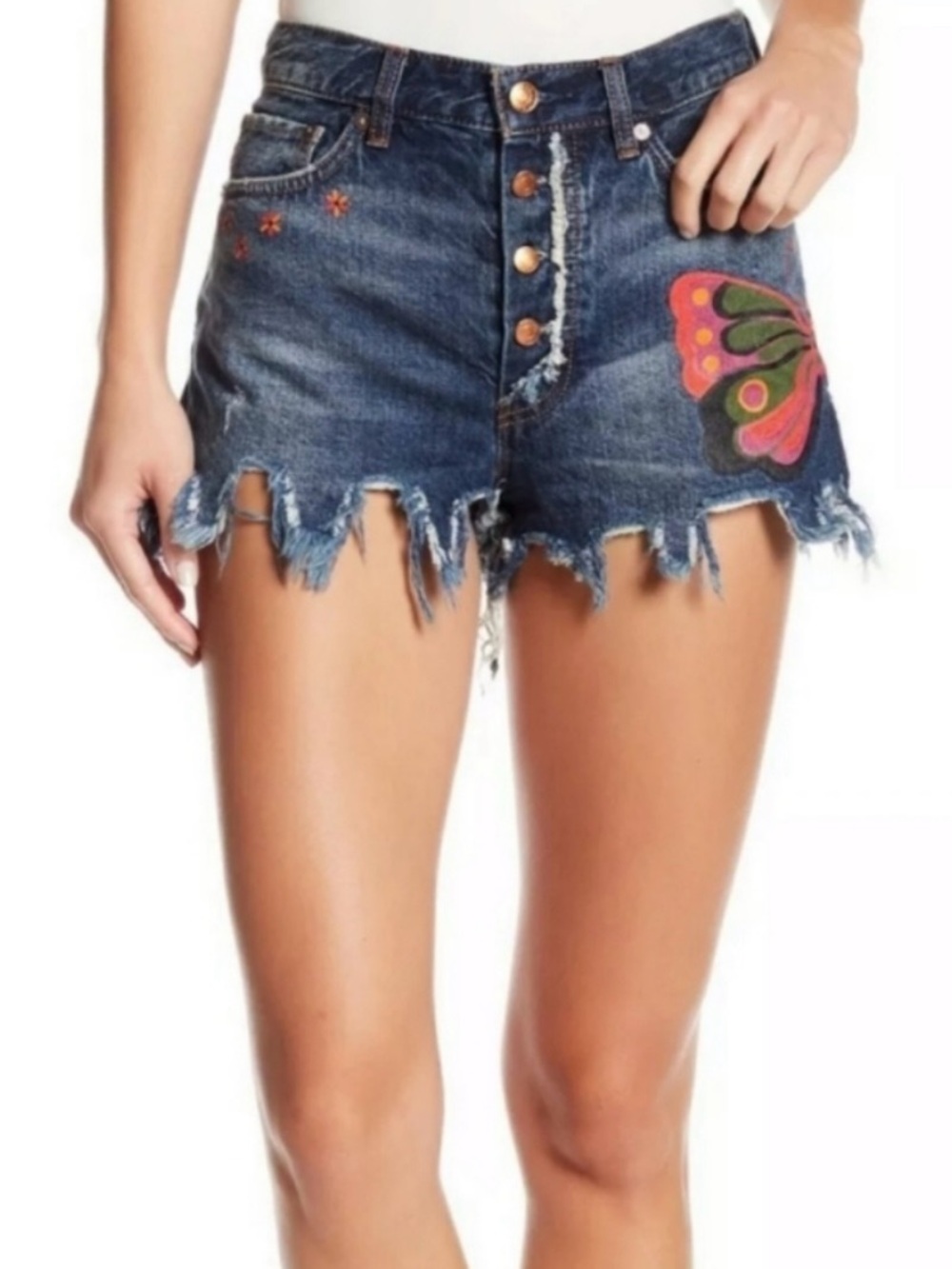 FREE PEOPLE Distressed Denim FIELDS OF SUN Butterfly & Flower SHORTS  SZ 28
